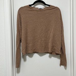 Zara Basics Brown Longsleeved Crop top with glitter detail
